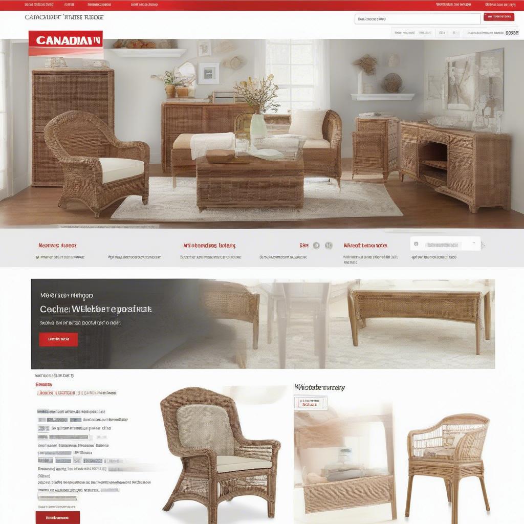 Screenshot of the Canadian Tire website showing search results for "wicker cabinet".