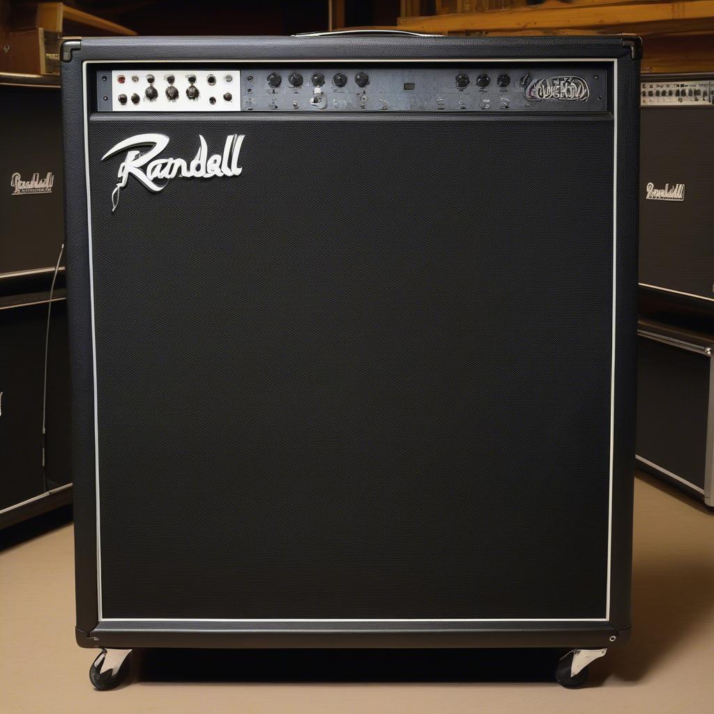 Randall 4x12 Cabinet Used on Wicked Sensation