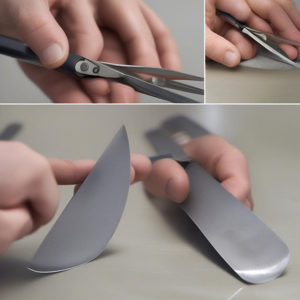 Cleaning and Sharpening Stainless Steel Scissors