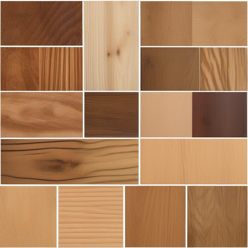 Different Wood Types for 8x10 Picture Frames